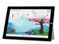 南湖Surface 无法开启、Windows 无法启动或电池无法充电